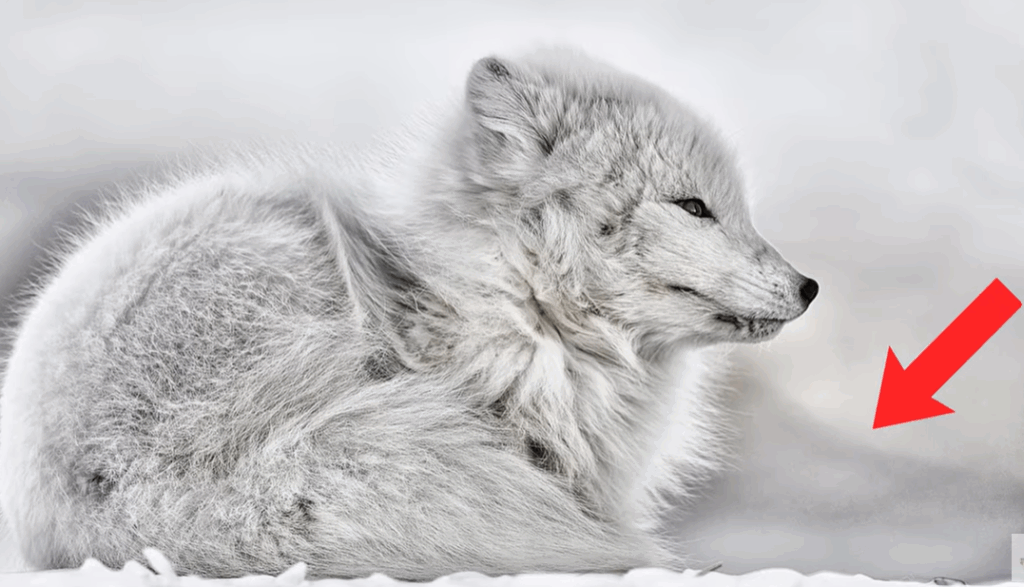Why Your Photos Look Flat and How to Create Depth