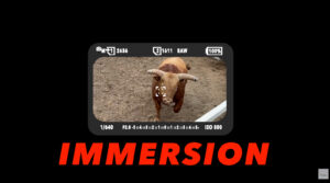 Camera viewfinder framing a bull, illustrating immersion in wildlife photography and how the viewfinder pulls the photographer into the subject’s world.
