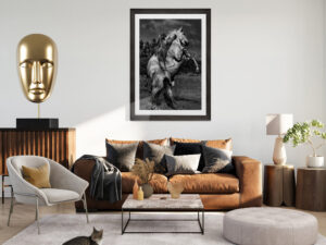 Equine Wall Art