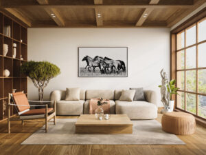 horse photo for your office